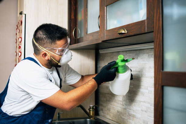 Best Insect Control  in Athena, OR