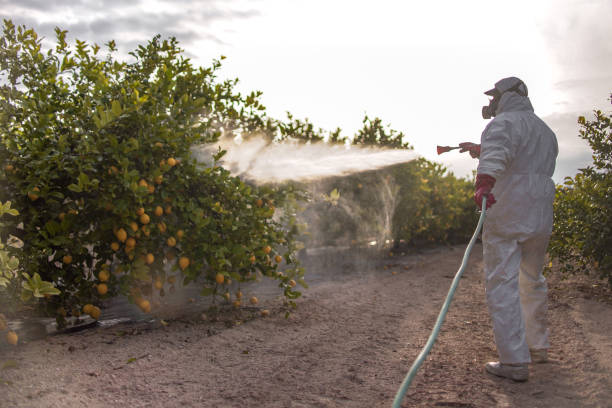 Best Residential Pest Control  in Athena, OR
