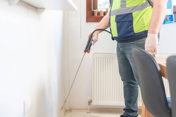 Wasp Removal Services in Athena, OR