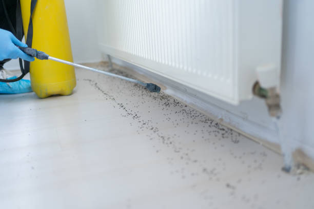 Best Affordable Pest Control Services  in Athena, OR